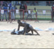 Gala de lutte Prince PABC Évents : finale poids légers Diène Diouf impuissant face à Kaw Gourdin....