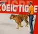 L'oeil du Tigre - Vendredi 24 Mai 2013