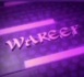 Wareef 27 Mai 2013 - L'absence d'enfant dans un couple, pourquoi la femme est-elle mise en cause?