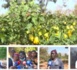 Soutien aux coopératives de femmes et jeunes : la DER/FJ, une réponse aux besoins (Reportage)