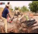 Per bou xar - Brigate de Polisse - ep11 - 02 Août 2013