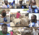 Tabaski 2021- de Sicap-Mbao à Libérté 6: un tour dans les "daarals" à Dakar (Reportage)