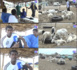 Lendemain de Tabaski : Entre moutons invendus et manque de sécurité, les vendeurs dans le désarroi…