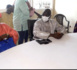Kaolack : Mohamed Ndiaye Rahma poursuit son opération de débauchage chez Serigne Mboup.