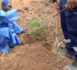 Dangote Cement Senegal participe à la préservation de l'environnement en plantant 5.000 arbres à Ngomène      