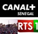 Organisation de Fan's Zone avec les Images de Canal + Sénégal : Un Signal d'illégalité selon la chaîne cryptée