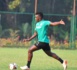 Équipe nationale : Touché au genou, Bamba Dieng incertain pour le quart de finale...