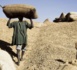 Accord signé entre l’Etat du Sénégal et les huiliers Le prix au producteur maintenu à 200 FCFA en plus de 5 autres points