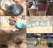 Bène Tally, Cité Bissap, HLM Montagne... : À la découverte de ces maisons à Dakar où il n'y jamais eu de robinet