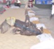 Victoire de Boy Niang 2 sur Baye MANDIONE : « VIDÉO»