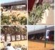 Espaces verts sous les auto-ponts : Entre soulagement et désolation à Yoff, École normale et Parcelles Assainies (Reportage)