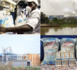 Économie : Gloire et déboires de la Compagnie Sucrière Sénégalaise, de sa création à nos jours.