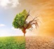 Changement climatique : le Sénégal est-il impacté ?