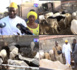 Célébration de l'Aïd El Fitr : Ousmane Noël Dieng distribue une trentaine de bœufs aux kaolackois.
