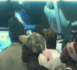 [Vidéo] Le face à face Zoss – Gouye Gui se termine dans une cacophonie totale. Regardez