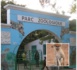 Un singe « patass roux » s'échappe et blesse une dame au Parc Hann: « c’est un sabotage, quelqu'un est venu soulever la cage de sécurité du primate…nous avons pris les mesures pour la Dame jusqu’à ce que… » (Source ministère)