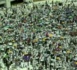 La Mecque: des fidèles effectuent le dernier "tawaf" à la fin du hajj