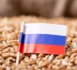 Sanctions: Bruxelles propose de débloquer des fonds de banques russes pour aider le commerce alimentaire