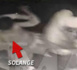 Incroyable : Solange, la sœur de Beyoncé, attaque Jay-Z à coups de pied (vidéo)