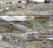 Hivernage à Médina Mbaba / Non fermeture des canaux à ciel ouvert : Tas d'ordures, eaux usées et maladies tropicales négligées, le casse-tête des populations.