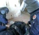 Urgent à Touba- Une centaine d’éléments du GIGN au marché Ocass. Des vendeurs d’armes à feu menottés et arrêtés