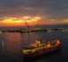 Pétrole : Les images des installations de GTA qui avancent à grands pas.