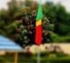Attaque terroriste de Tessit : Le mali annonce un deuil national de trois jours