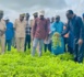 Kaolack / Campagne de suivi agricole :  « En 2020, nous étions à trois millions 700 mille tonnes de production céréalière…cette année on dépassera les quatre millions de tonnes si… » (Moussa Baldé, MAER).