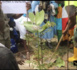 Reboisement des 7 km de l'entrée de Touba : plus de 1.000 arbres plantés par « Touba Ca Kanam » avec l'appui de l'ASERGMV.