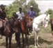 Sécurisation de la forêt classée de Mbao : une cavalerie forestière mise en place pour protéger ce poumon vert...