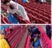 CM 2014- L'image qui a fait le tour du monde: Les supporters japonais qui nettoient leur place après le match contre la Cote d'Ivoire