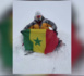 Exploit : Après avoir brandi le drapeau sénégalais au sommet du Kilimandjaro, l’alpiniste Zakaria Lamrani, hisse les couleurs nationales sur le Mont Elbrouz (Russie)