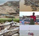 Gaz et pêche : au Sénégal, les pêcheurs craignent le pire pour leur production