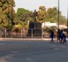 Drame à Bignona : Un chauffeur taxi-clando poignardé à Soutou, ses collègues menacent de paralyser le transport