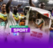 Coupe du monde 2022 : L’hommage des Lions de Pape Bouba Diop après la victoire sur l’Équateur…