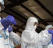 Ebola : 1 552 morts et 3 069 cas selon un nouveau bilan de l'OMS