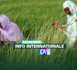 L'Afrique bataille pour briser sa dépendance au riz indien sous restrictions