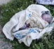 Lendemain de Tabaski : Une femme abandonne son Bébé devant une maison à Sacré Cœur III