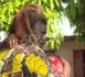 La sorcellerie accusée d'être à l'origine de 21 décès dans un village de Côte d’Ivoire