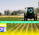 Campagne de commercialisation agricole 2022-2023 : des risques importants de répercussion sur la disponibilité des semences pour les campagnes de production 2023 (CNC)