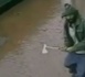 VIDEOS. New York: l'agresseur à la hache, un homme "belliqueux" aux "penchants islamistes"