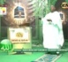 Emission Sen Diné Avec Ouztass Iran Ndao