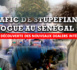 Trafic de stupéfiants, drogue au Sénégal : à la découverte des nouveaux dealers intérimaires