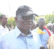 Habib Sy, membre du Pds : « Pour arriver à l’autosuffisance en riz, il faut supprimer la SAED et la SODAGRI »