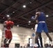 Boxe / Championnat d'Afrique Zone II : 7 combattants sénégalais en course pour les médailles d'or.