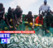 Thiès / Tension entre pêcheurs : le ministre de la pêche s’investit pour régler cette tension latente entre pêcheurs de Cayar et de Mboro