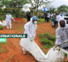 Kenya: 26 nouveaux corps de fidèles présumés d'une secte exhumés dans une forêt