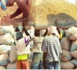​La campagne de commercialisation arachidière sous de mauvais auspices dans la région de Louga