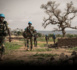 La fin de la mission de l'ONU va "nuire" aux Maliens, regrettent les Etats-Unis