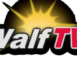 Suspension de Walf Tv: la restriction a pris fin, le signal a repris ce 1er juillet.